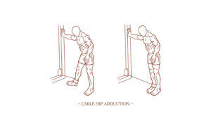 Cable Hip Adduction Illustration