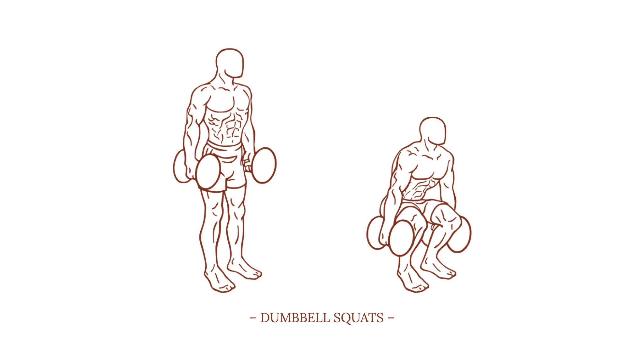 Dumbbell-Squats-Illustration - Michael Loehr