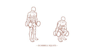 Dumbbell Squats Illustration