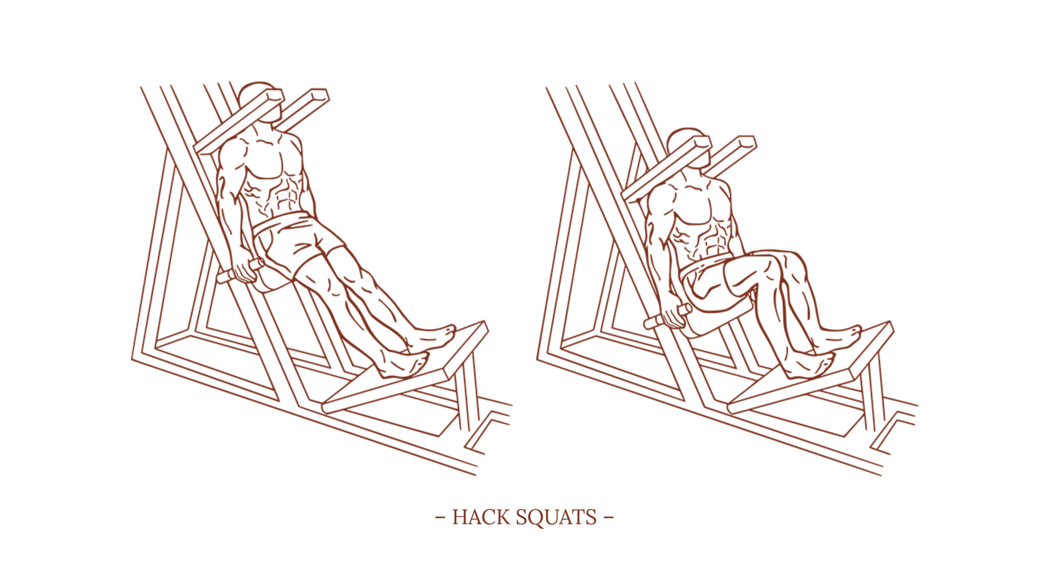 Hack Squat Icon Hack-Squats-Illustration - Michael Loehr