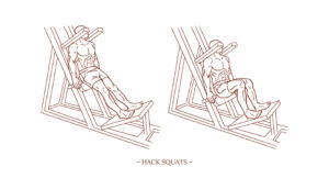 Hack Squats Illustration