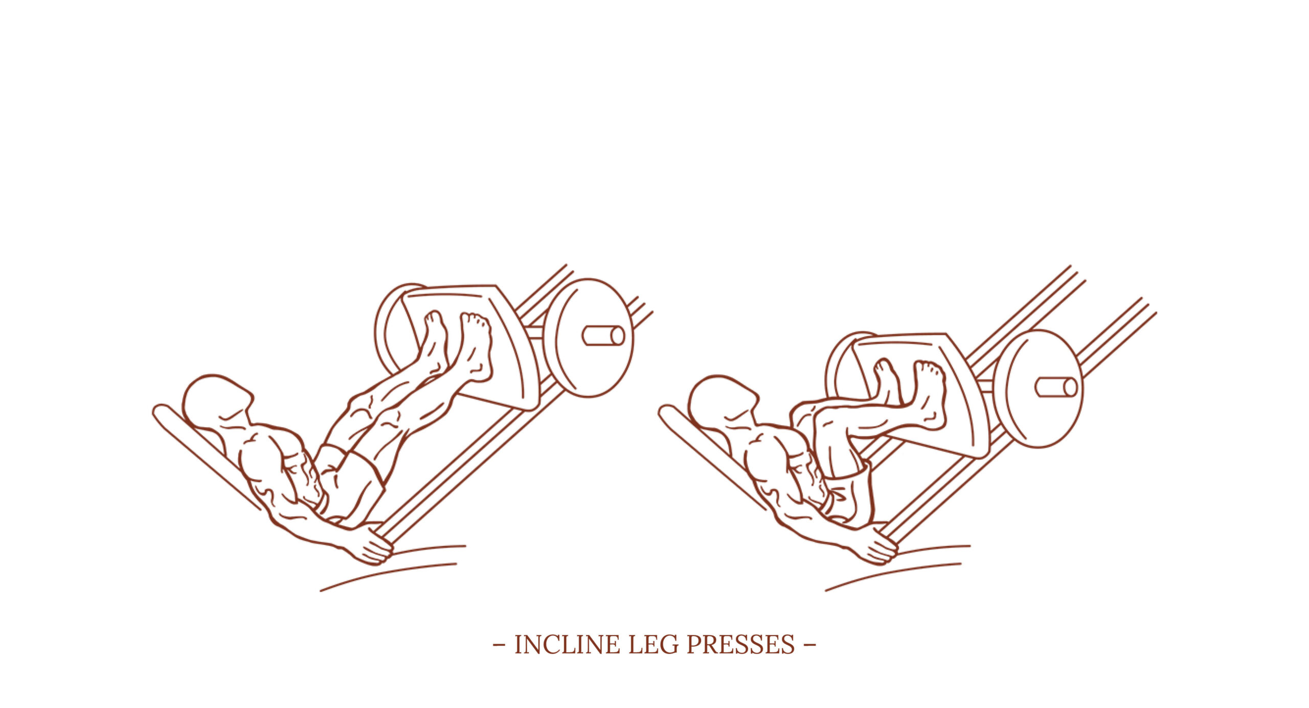 Incline Leg Presses Illustration