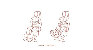 Leg Extension Illustration