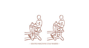 Seated Machine Calf Raises Illustration