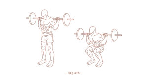 Squats Illustration