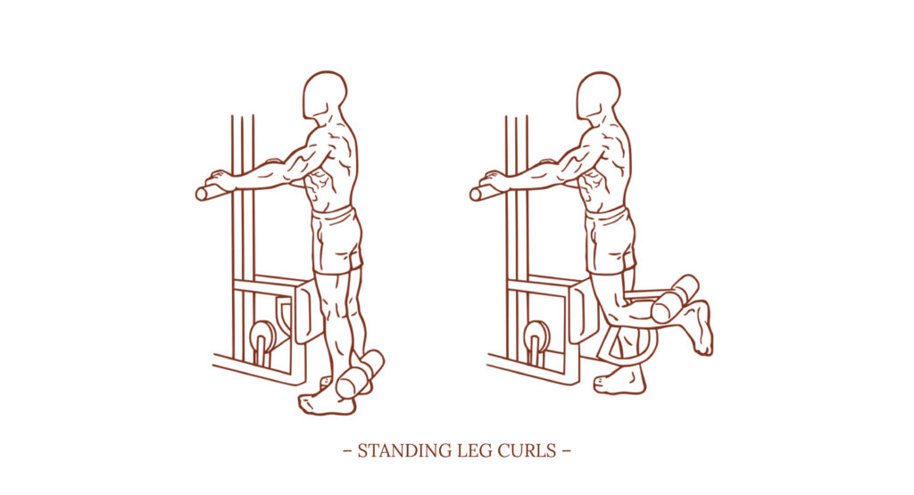 Standing-leg-curls-illustration - Michael Loehr