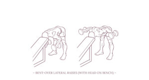 Bent-Over Lateral Raises Illustration
