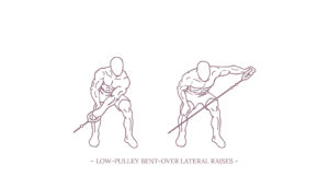Low-Pulley Bent-Over Lateral Raises Illustration