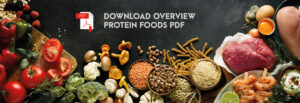 Michael Loehr - The Power of Protein - Protein Content PDF